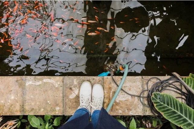 waterproofing Oriental Yuhong untuk kolam ikan