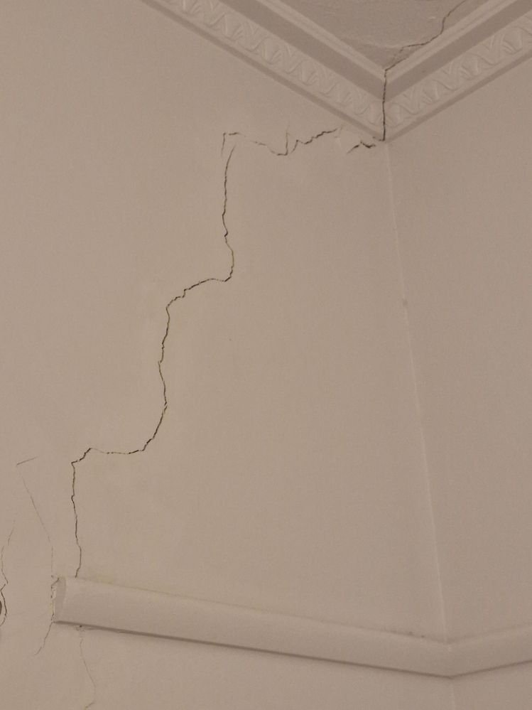 cat eksterior anti bocor